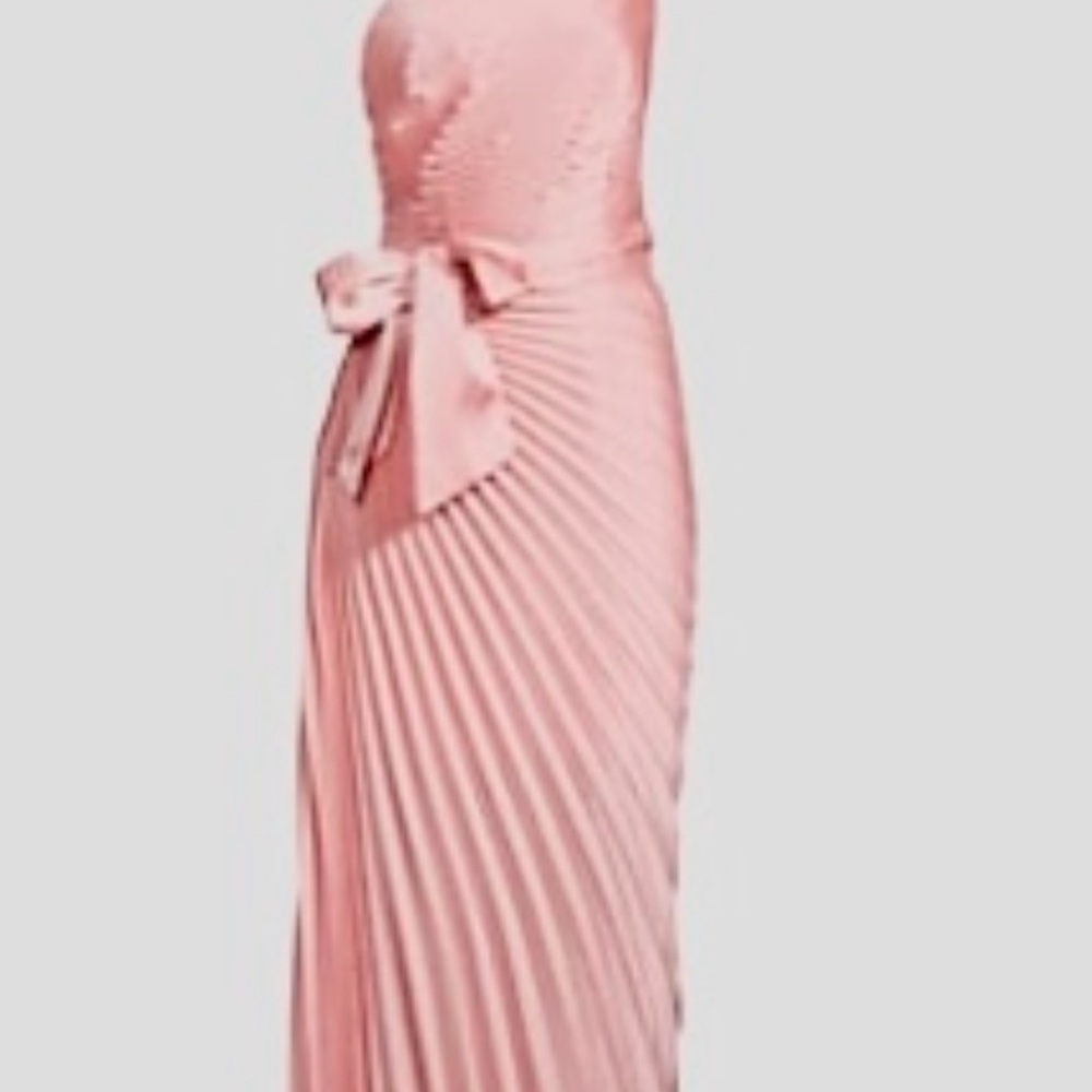 Elegant Pink Pleated Gown